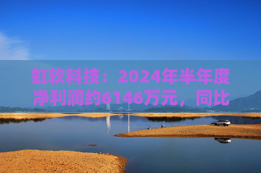 虹软科技：2024年半年度净利润约6146万元，同比增加22.82%