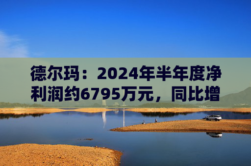 德尔玛：2024年半年度净利润约6795万元，同比增加0.71%