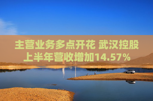 主营业务多点开花 武汉控股上半年营收增加14.57%