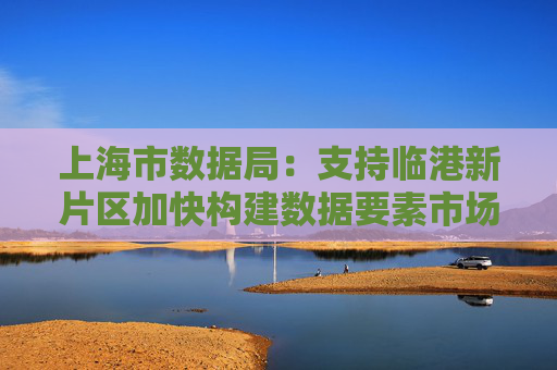 上海市数据局：支持临港新片区加快构建数据要素市场体系、做大做强数字经济