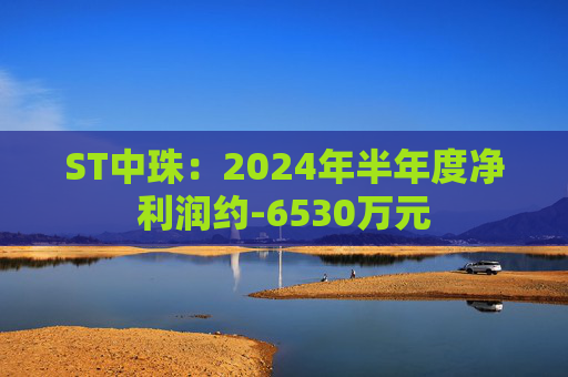 ST中珠：2024年半年度净利润约-6530万元