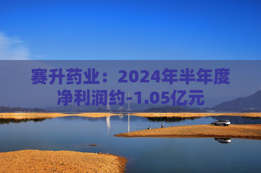 赛升药业：2024年半年度净利润约-1.05亿元