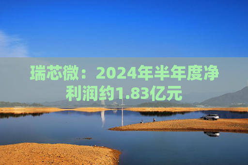 瑞芯微：2024年半年度净利润约1.83亿元