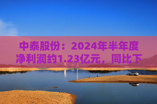 中泰股份：2024年半年度净利润约1.23亿元，同比下降33%