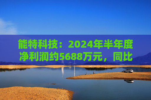 能特科技：2024年半年度净利润约5688万元，同比下降81.13%