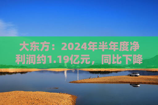 大东方：2024年半年度净利润约1.19亿元，同比下降14.38%