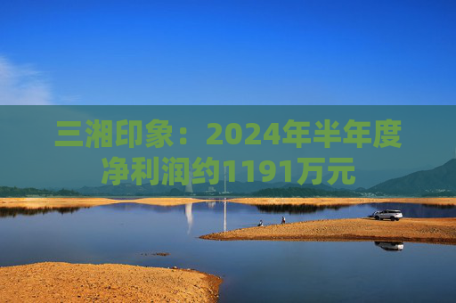 三湘印象：2024年半年度净利润约1191万元