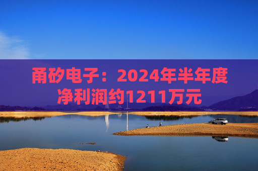 甬矽电子：2024年半年度净利润约1211万元