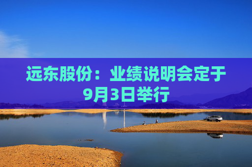 远东股份：业绩说明会定于9月3日举行