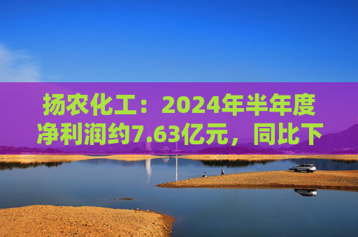 扬农化工：2024年半年度净利润约7.63亿元，同比下降32.1%