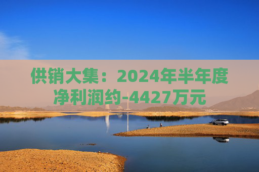 供销大集：2024年半年度净利润约-4427万元