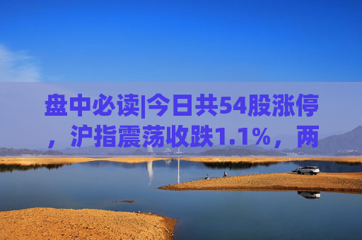 盘中必读|今日共54股涨停，沪指震荡收跌1.1%，两市下跌个股超4400只