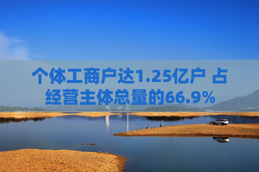 个体工商户达1.25亿户 占经营主体总量的66.9%