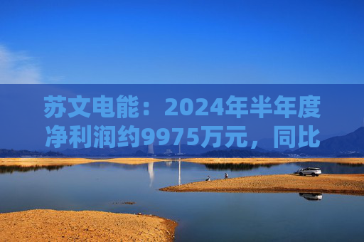 苏文电能：2024年半年度净利润约9975万元，同比下降27.86%