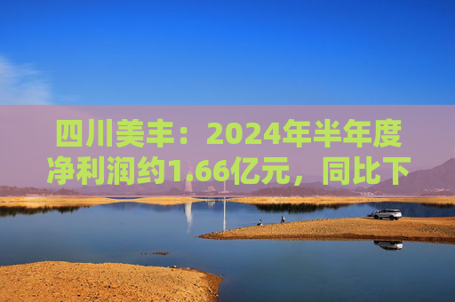 四川美丰：2024年半年度净利润约1.66亿元，同比下降34.08%