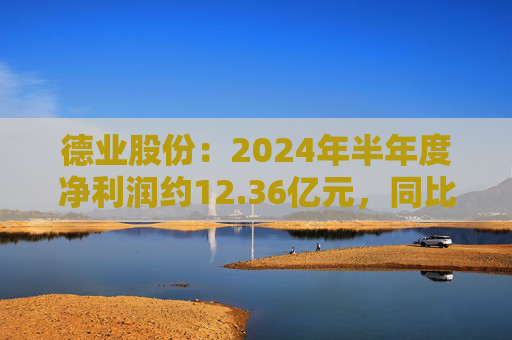 德业股份：2024年半年度净利润约12.36亿元，同比下降2.21%