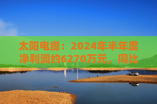 太阳电缆：2024年半年度净利润约6270万元，同比下降35.89%