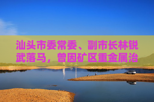 汕头市委常委、副市长林锐武落马，曾因矿区重金属治理不力被处分