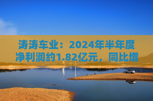 涛涛车业：2024年半年度净利润约1.82亿元，同比增加35.36%