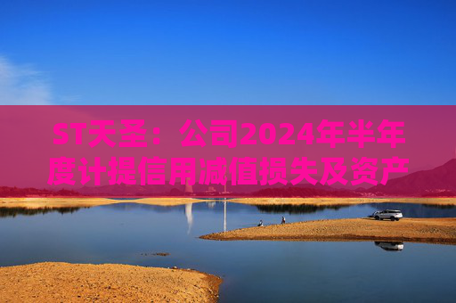 ST天圣：公司2024年半年度计提信用减值损失及资产减值损失合计约1046.31万元