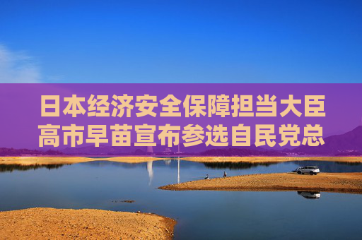 日本经济安全保障担当大臣高市早苗宣布参选自民党总裁