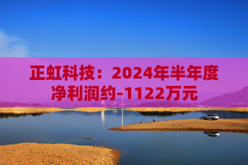 正虹科技：2024年半年度净利润约-1122万元