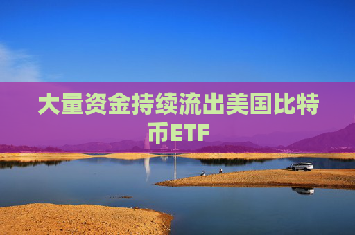 大量资金持续流出美国比特币ETF