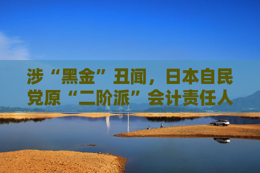 涉“黑金”丑闻，日本自民党原“二阶派”会计责任人被判2年监禁