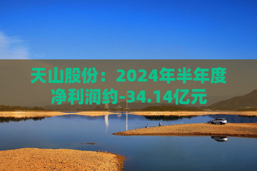 天山股份：2024年半年度净利润约-34.14亿元