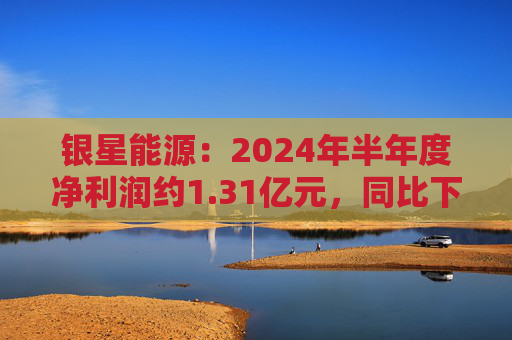 银星能源：2024年半年度净利润约1.31亿元，同比下降15.57%