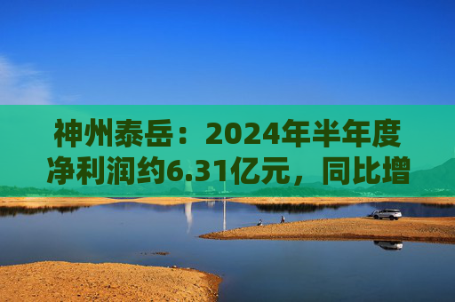 神州泰岳：2024年半年度净利润约6.31亿元，同比增加56.18%