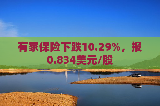 有家保险下跌10.29%，报0.834美元/股