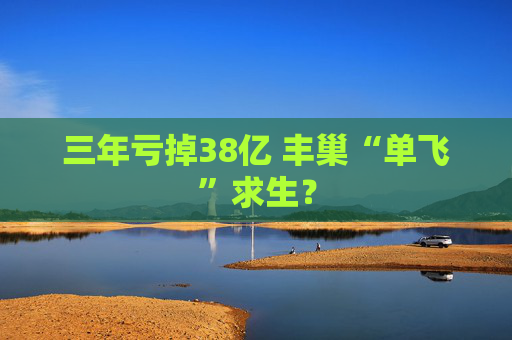 三年亏掉38亿 丰巢“单飞”求生？