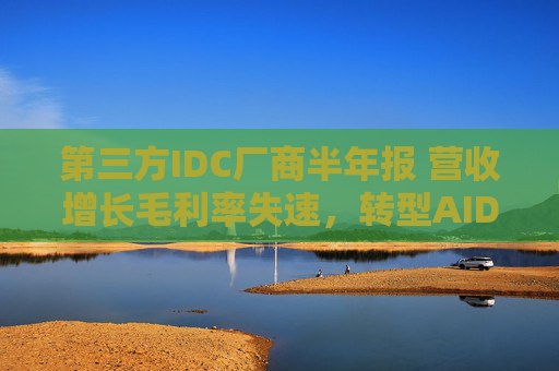 第三方IDC厂商半年报 营收增长毛利率失速，转型AIDC跑马圈地