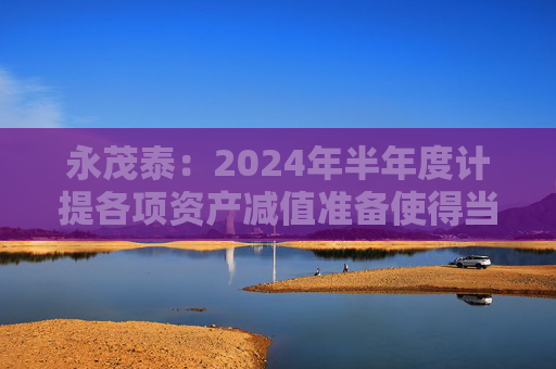 永茂泰：2024年半年度计提各项资产减值准备使得当期利润总额减少446.14万元