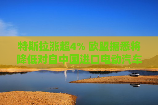 特斯拉涨超4% 欧盟据悉将降低对自中国进口电动汽车拟议的加征关税