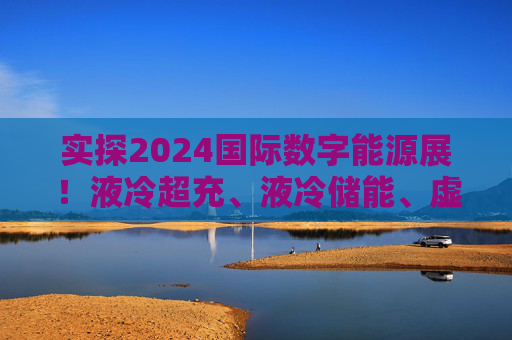 实探2024国际数字能源展！液冷超充、液冷储能、虚拟电厂→