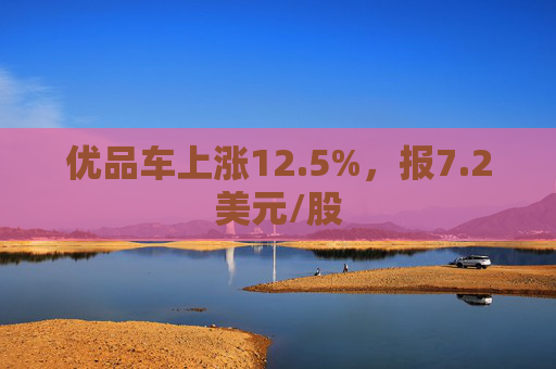 优品车上涨12.5%，报7.2美元/股