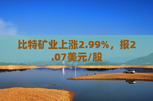 比特矿业上涨2.99%，报2.07美元/股