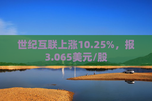 世纪互联上涨10.25%，报3.065美元/股