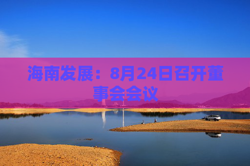 海南发展：8月24日召开董事会会议