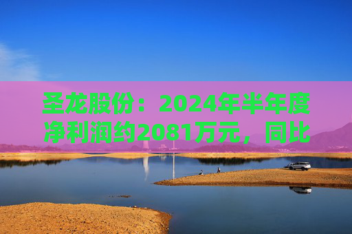 圣龙股份：2024年半年度净利润约2081万元，同比下降23.63%