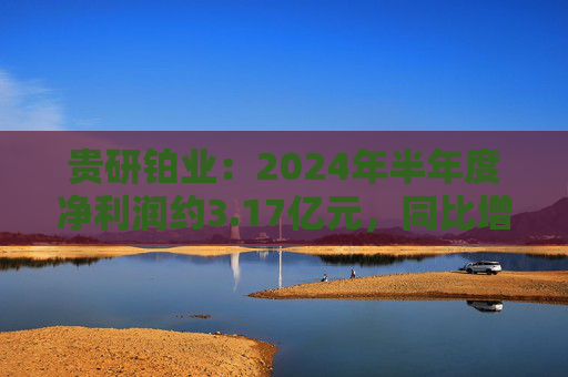 贵研铂业：2024年半年度净利润约3.17亿元，同比增加9.65%