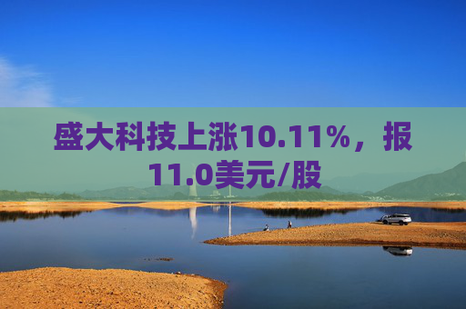 盛大科技上涨10.11%，报11.0美元/股