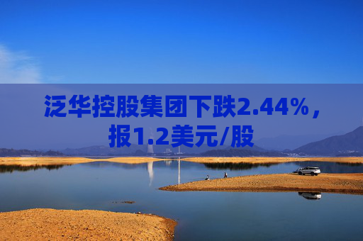 泛华控股集团下跌2.44%，报1.2美元/股