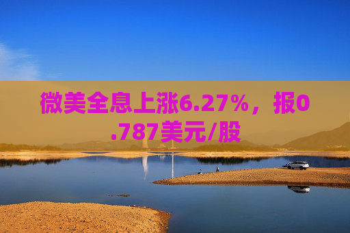 微美全息上涨6.27%，报0.787美元/股