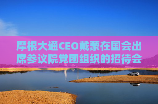 摩根大通CEO戴蒙在国会出席参议院党团组织的招待会