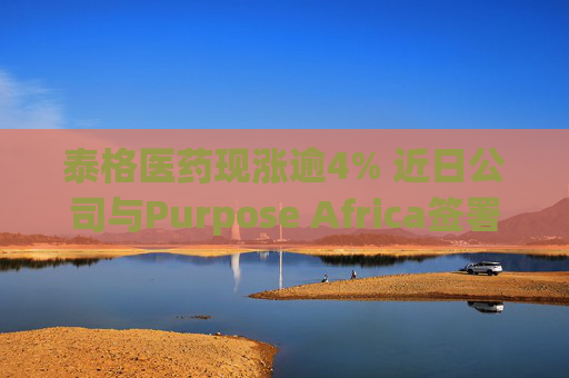 泰格医药现涨逾4% 近日公司与Purpose Africa签署合作备忘录