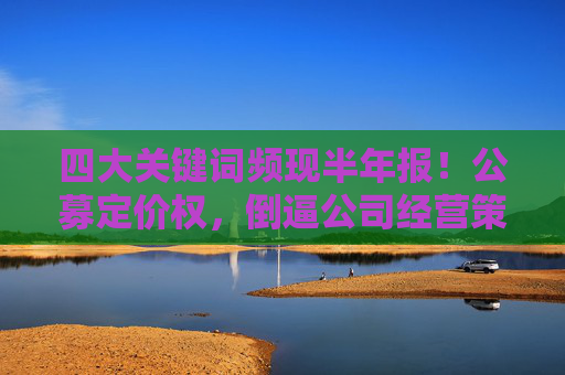 四大关键词频现半年报！公募定价权，倒逼公司经营策略变化？