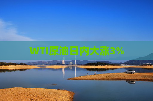 WTI原油日内大涨3%